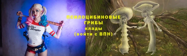 спиды Абаза