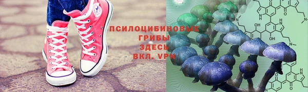 таблы Коряжма