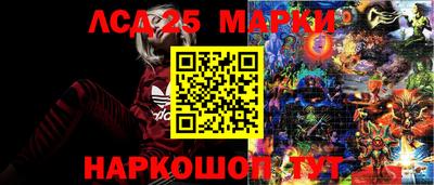 Альфа ПВП Бердск