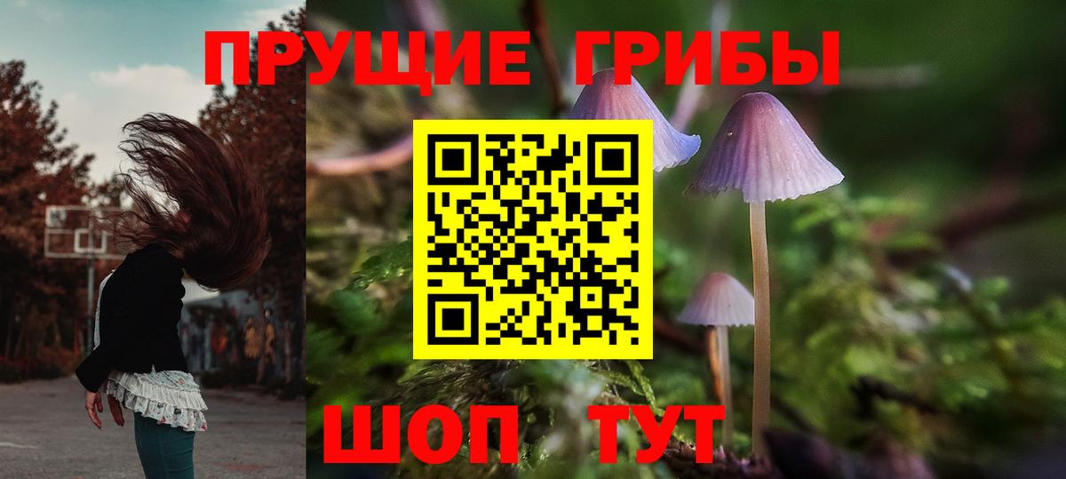 Галлюциногенные грибы Psilocybine cubensis  Вход с VPN  купить наркотик  Галлюциногенные грибы ЛСД  Переславль-Залесский 